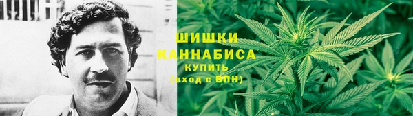 сатива Россошь